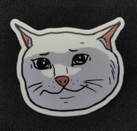 Sad Catte Sticker