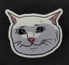 Sad Catte Sticker