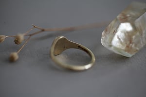 Image of 'Fluctuat nec mergitur' small signet ring (in silver or 9ct gold)