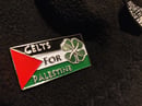 Image 3 of Celts For Palestine