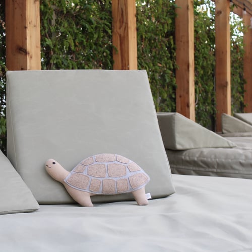 Image of the Tortoise