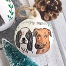 Image 3 of Pet Portrait Bauble