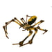 Image of JCR ARTHROPODA : SPIDER