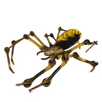 Image 3 of JCR ARTHROPODA : SPIDER