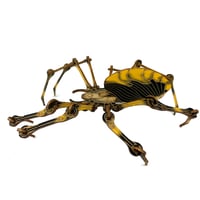Image 4 of JCR ARTHROPODA : SPIDER