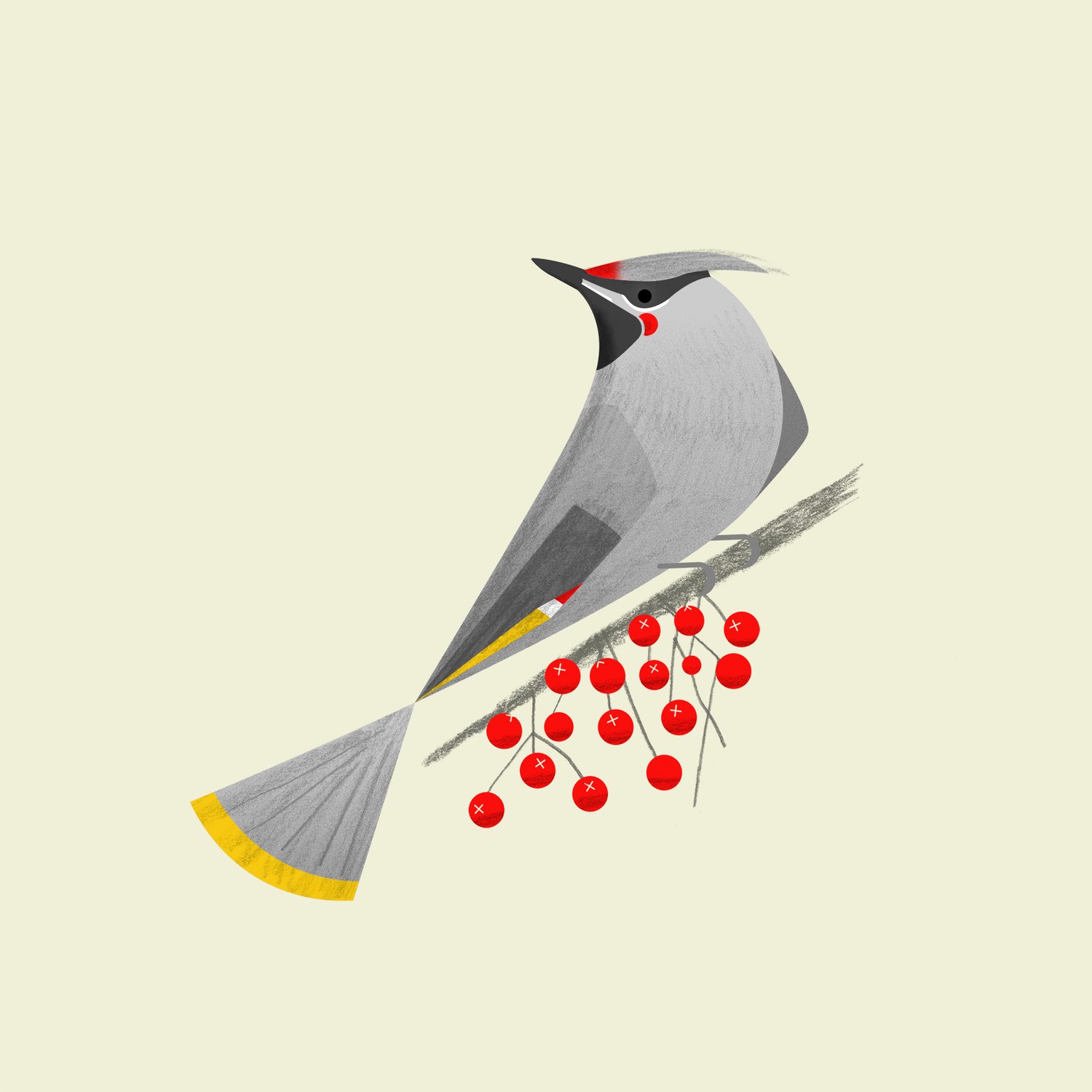 Image of Waxwing Print