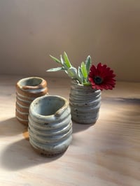 Image 1 of Tiny Coiled 'Cups'