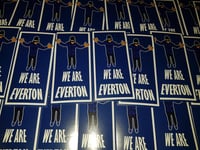 Image 1 of We are Everton Football/Ultras/Casuals/Hooligans 10x5cm Stickers Pack of 25