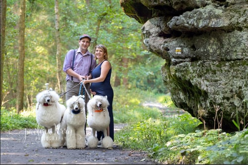 Image of Engagements