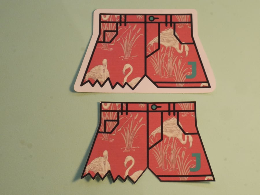 Image of Flamingos