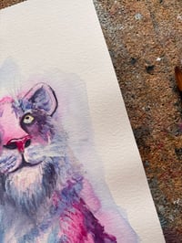 Image 5 of Tigre Rose 