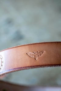 Image 4 of The 'Saturn' belt