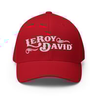 Image 8 of LeRoy David Logo - Structured Twill Cap
