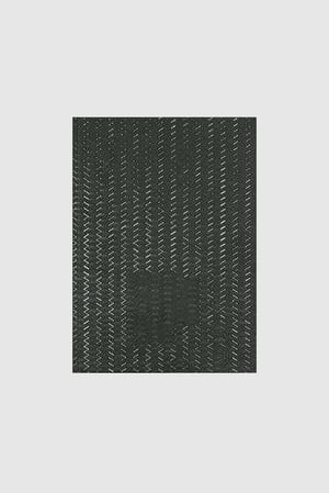 Gregor Hildebrandt - Sterne Streifen Die Fluten