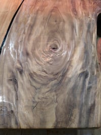 Image 3 of Oak, Chinquapin