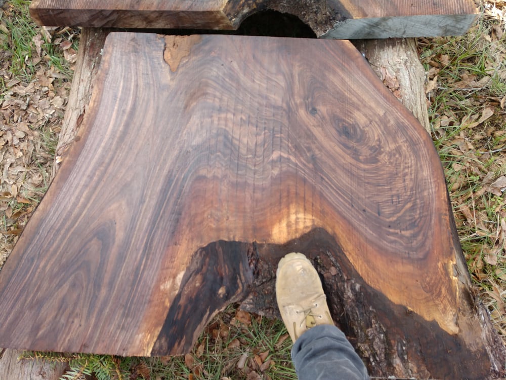 Image of Black Walnut