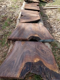 Image 4 of Walnut, Black