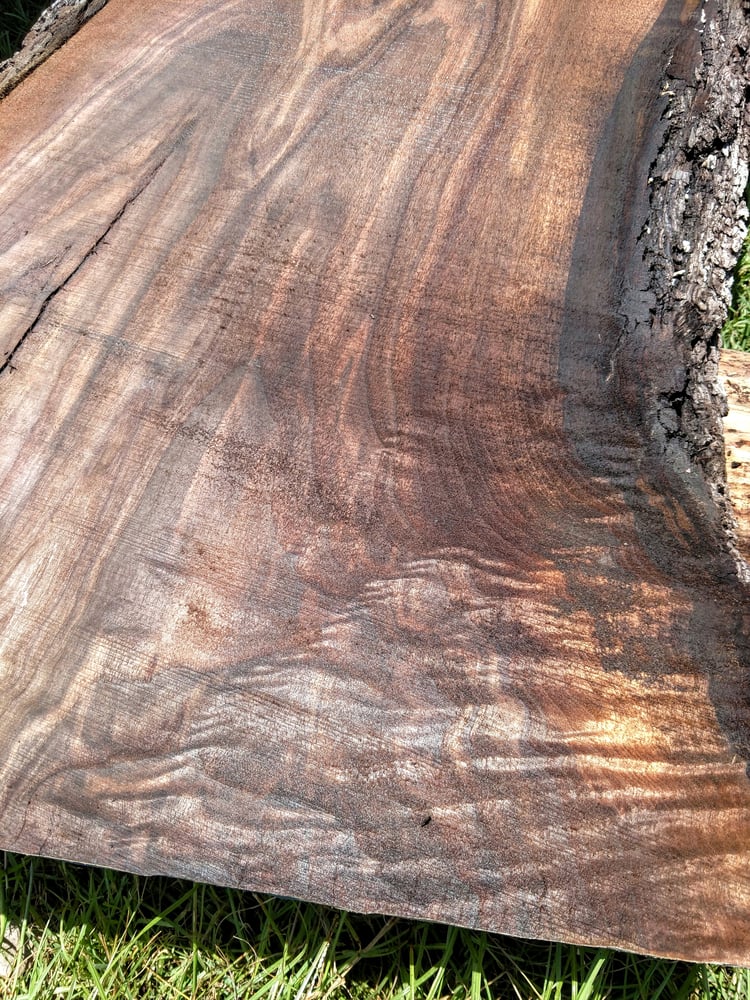 Image of Black Walnut