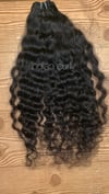 Single bundle raw Indian curly 