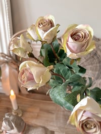 Image 2 of Apple Rose Bouquet ( 6 Stems )