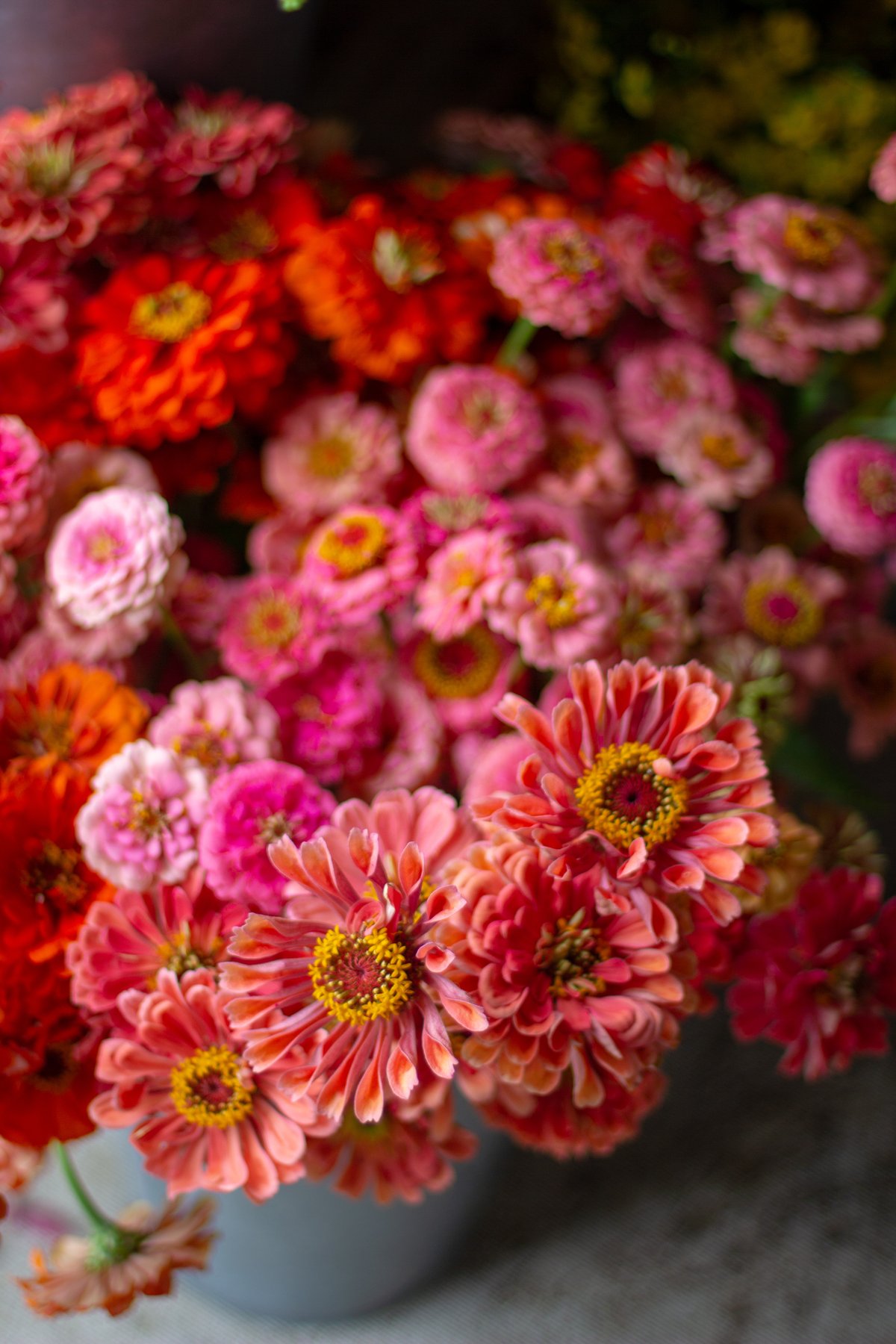 BACKYARD BOUQUETS Learn to Grow Your Own! Love 'n Fresh Flowers