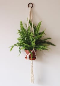 Image 3 of Square Knot Plant Hanger