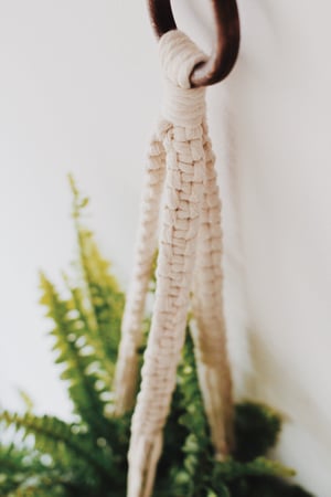 Image of Square Knot Plant Hanger
