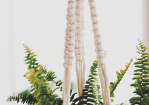 Image of Square Knot Plant Hanger