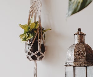 Image of Boho Plant Hanger