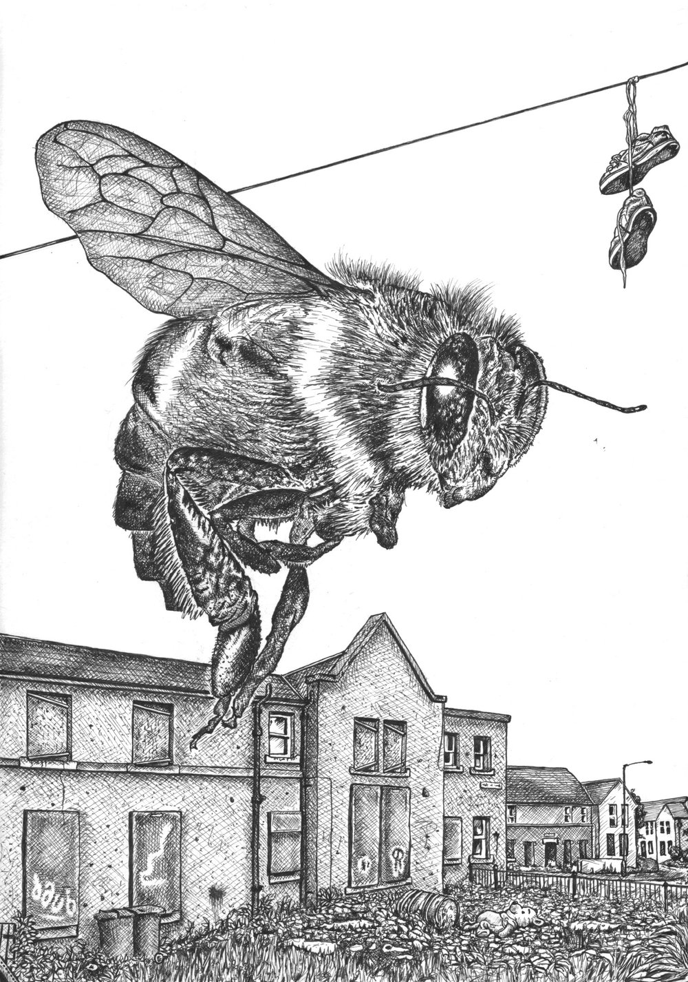 'coV bee'