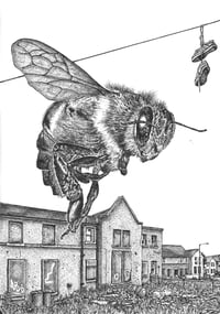 Image 1 of 'coV bee'