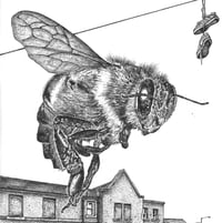 Image 4 of 'coV bee'