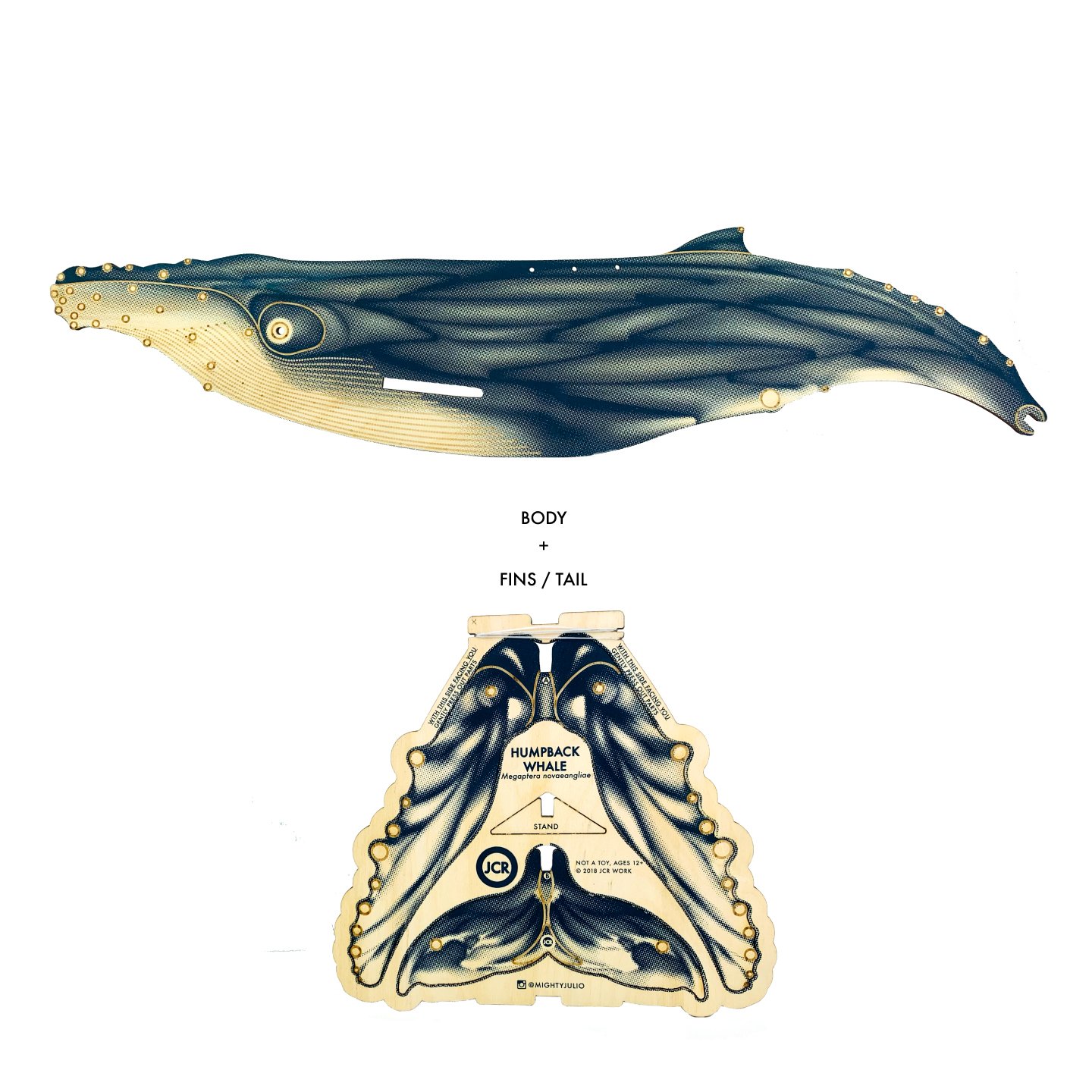 JCR WHALES : HUMPBACK WHALE | JCR WORKSHOP