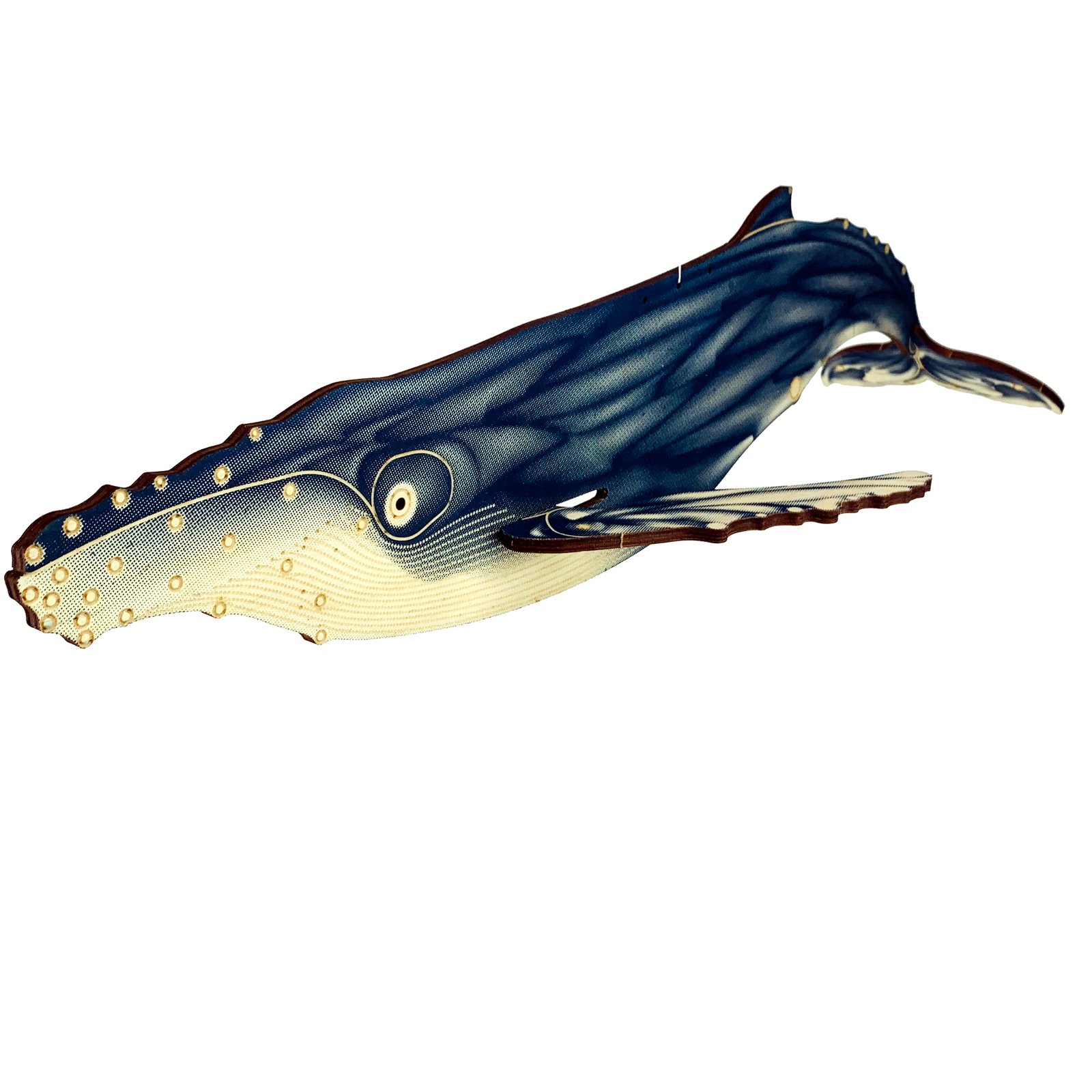 JCR WHALES : HUMPBACK WHALE