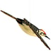 Image of JCR BIRDS : WOODPECKER