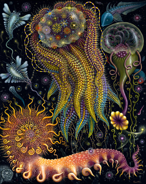 Image of 'DEVOURING STARJELLY' • Signed Limited Edition