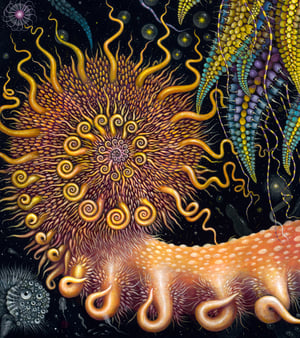 Image of 'DEVOURING STARJELLY' • Signed Limited Edition