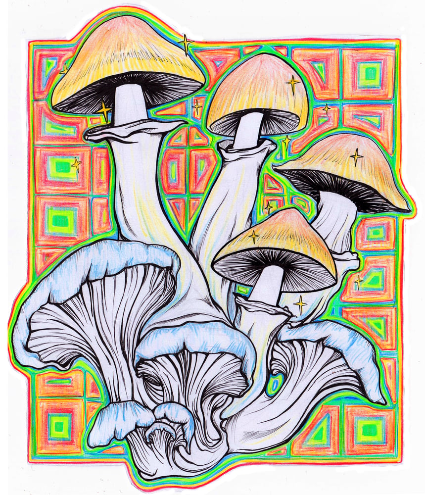 Image of Cubensis Oysters Print