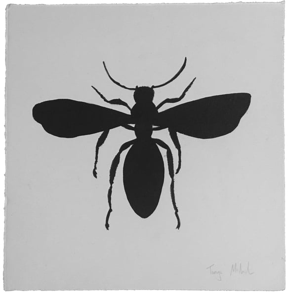 Image of Irish black honey bee - Signed pen and ink drawing