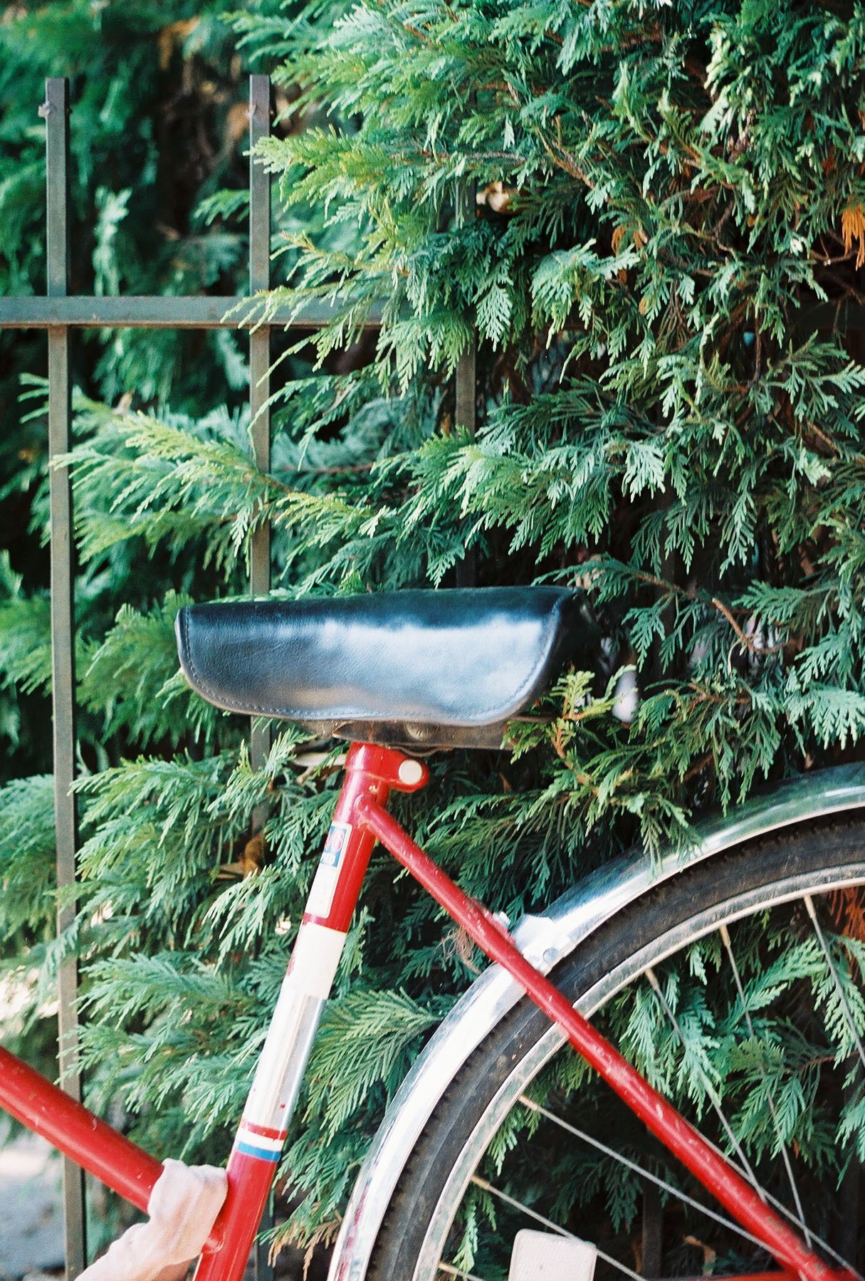 Image of Print: Bike in Tirana 2018