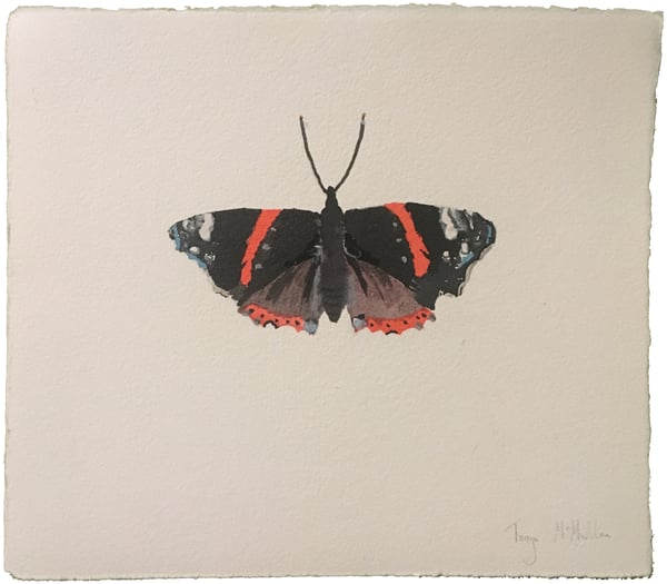 Image of Red admiral butterfly - Signed pen and ink drawing