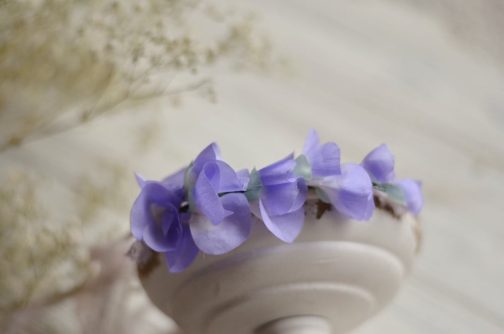 Image of Angela halo lavender 