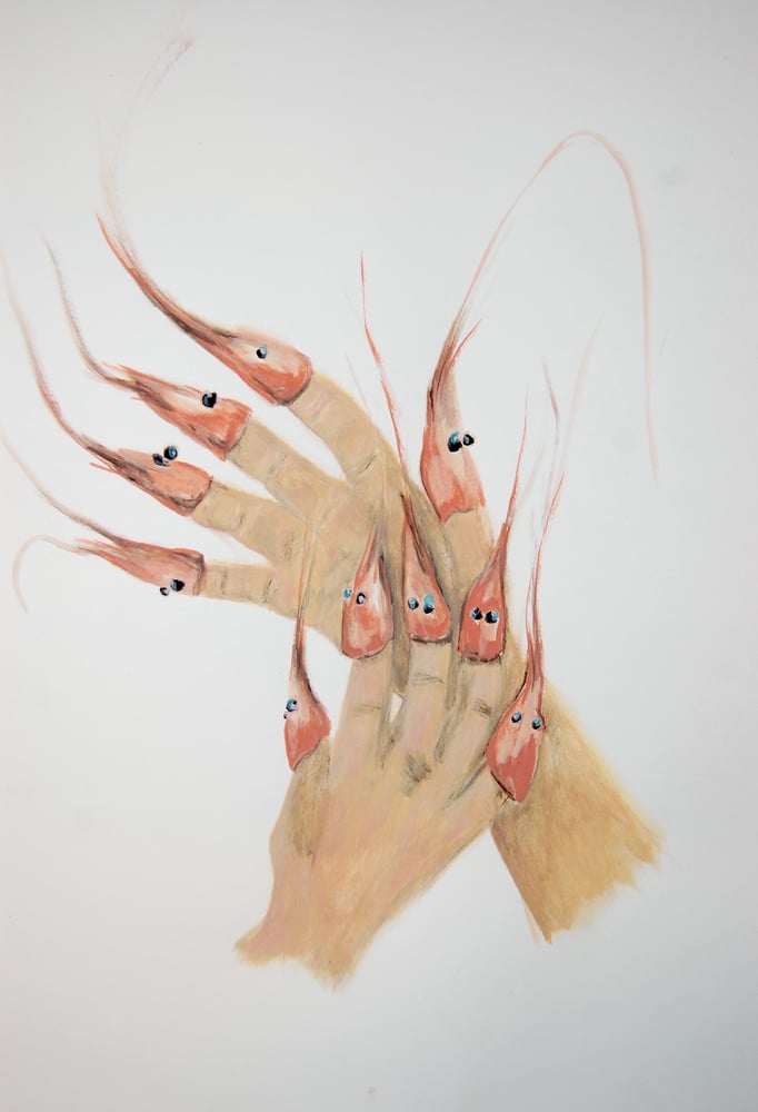 Image of Shrimp Hands