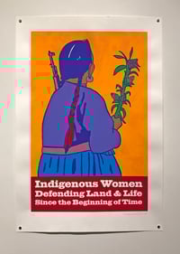 Indigenous Women Defending Land and Life (XL, 2019)