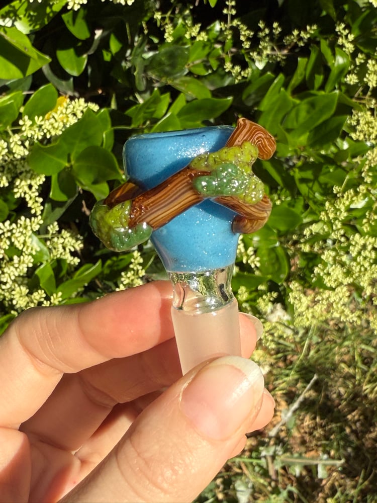 Image of Fantasy Forest 14 mm Slide  #1