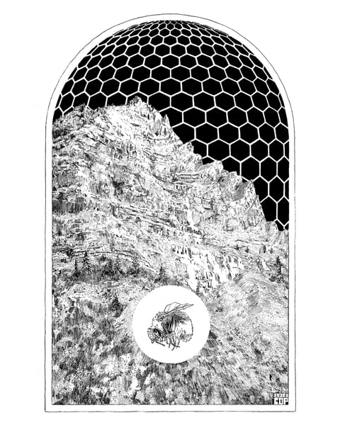 Image of "The Hive Which Hangs in the Lion's Skull" - Print