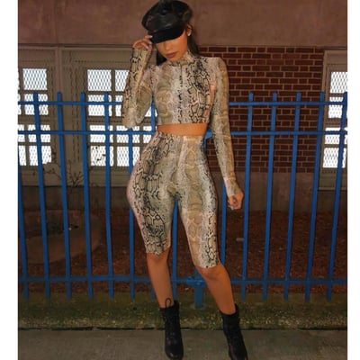 Image of Liz snake set 
