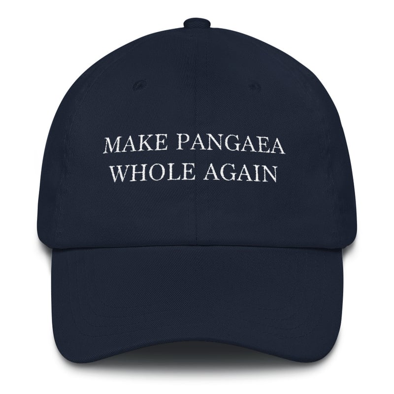 Image of Make Pangaea Whole Again Embroidered Hat