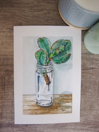 Image 3 of SUCCULENTS IN A GLASS JAR