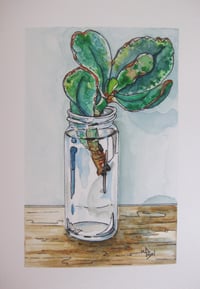 Image 2 of SUCCULENTS IN A GLASS JAR